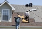 Wallingtonskylights-2.jpg; ?>